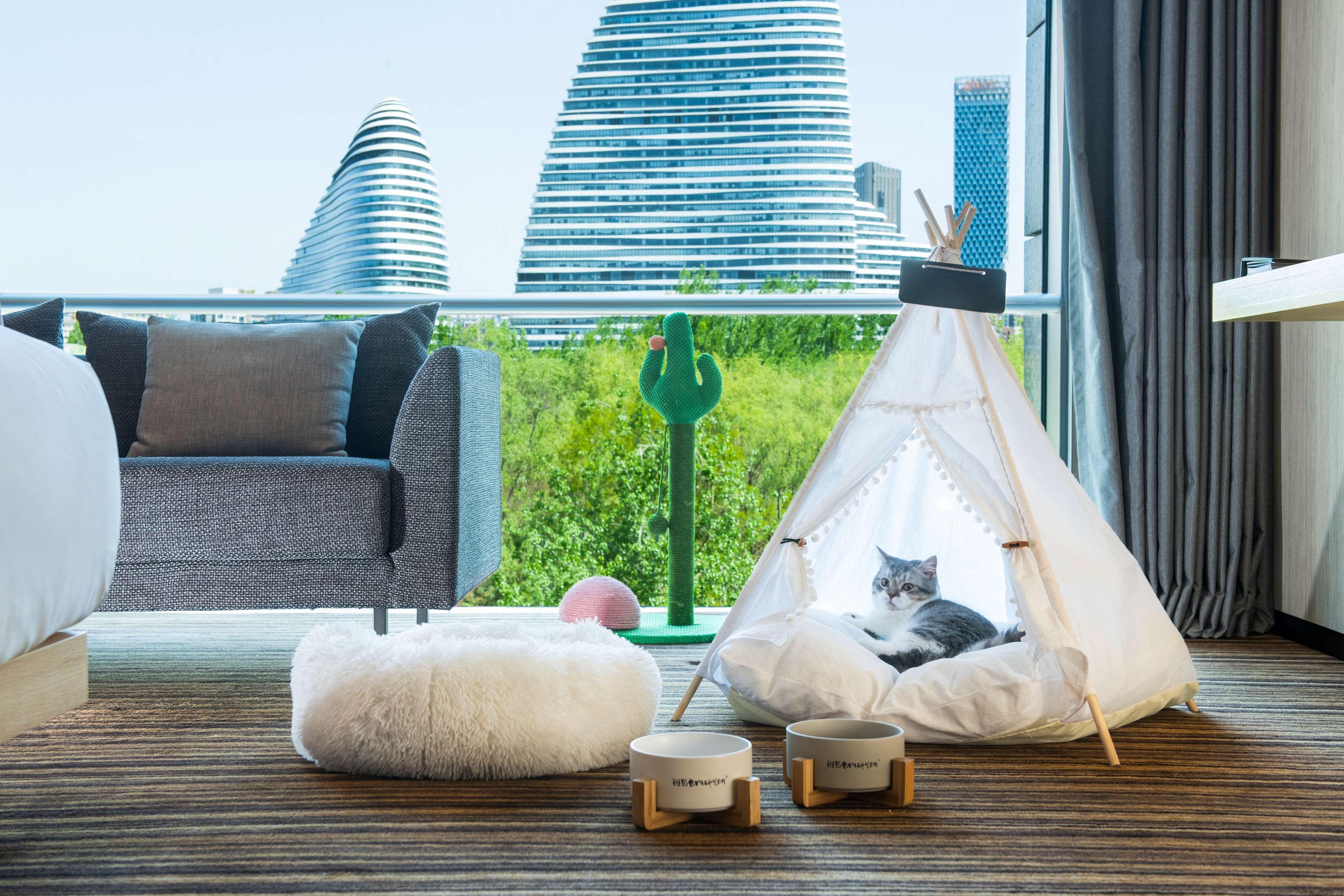 Hyatt Regency Wangjing 5* 北京